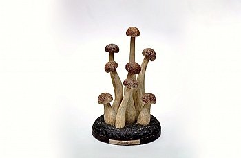 Статуэтка грибы #2