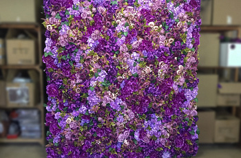 Стена из фиолетовых цветов